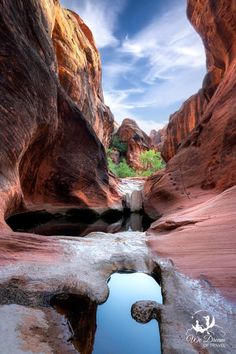 a small pool of water in the middle of a canyon