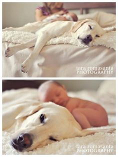 two pictures of a baby and a dog laying on top of a bed next to each other