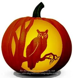 an owl carved into a pumpkin sitting on a tree branch in front of a white background