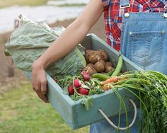 Home | Banff Farmers Market Sean Brock, Vegetable Delivery, Harvest Fest, Grocery Delivery Service, Cabbage Casserole, Farm Market, Farm Art, Pop Up Tent, Cape May