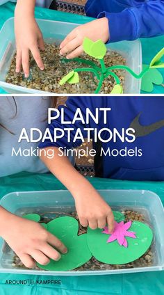 two pictures of plants and hands making simple models for kids to use in the garden