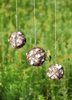 three bird feeders hanging from strings in the grass