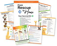 the dog rescue to hope survival kit