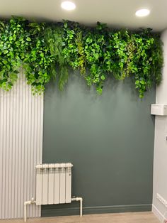 a room with green plants growing on the wall and radiator next to it