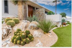 a cactus garden in front of a house with palm trees and rocks on the ground