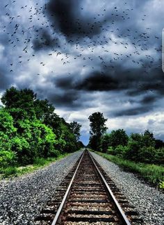 a train track with birds flying in the sky above it and trees on either side