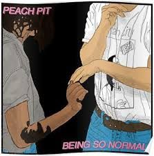 two people holding hands with the words peach pit being so normal written on them poster