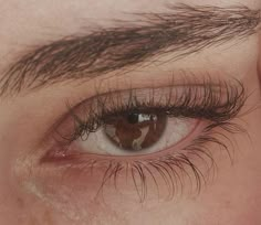 Thick Eyebrows, Eye Photography, Aesthetic Eyes, Longer Eyelashes, Vision Board 2023, Long Lashes, 2023 Vision, Pretty Eyes, Eye Art