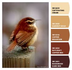 a small bird sitting on top of a wooden post next to brown and white colors