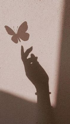 the shadow of a person's hand holding a butterfly