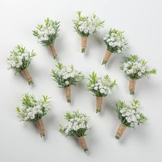 six bouquets of white flowers are arranged in a circle