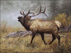 a painting of an elk with antlers on it's back