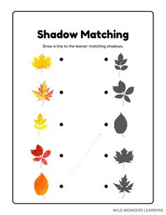 the shadow matching worksheet for children to learn how to draw and paint leaves