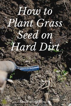 someone is digging in the dirt with a garden tool and text overlay reads how to plant grass seed on hard dirt