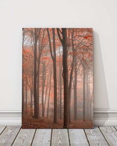 an image of a forest with red leaves on the trees and wood flooring in front of it