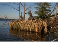 an island made out of dead trees in the water