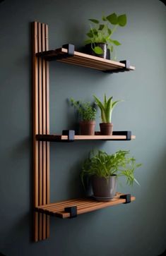 three wooden shelves with plants on them