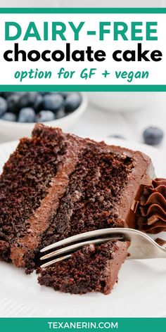 a piece of chocolate cake on a plate with a fork and blueberries in the background