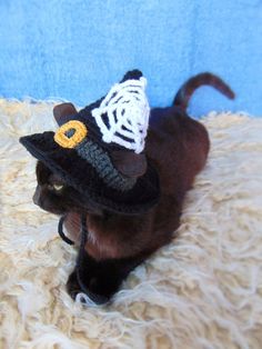 a black cat wearing a knitted halloween hat