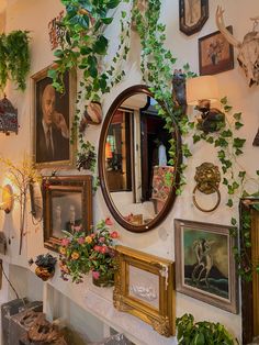 there are many framed pictures on the wall with plants growing out of them and hanging from the ceiling