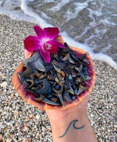 a person's hand holding a small bowl filled with seaweed and a flower