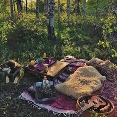 a picnic in the woods with an electric guitar and other items laid out on it