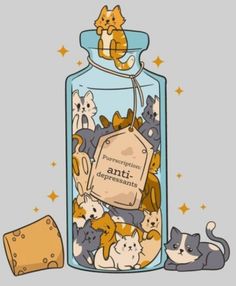 a jar filled with lots of cats next to a pile of cheese and crackers