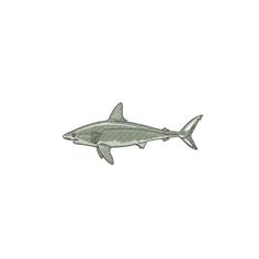 a drawing of a shark on a white background