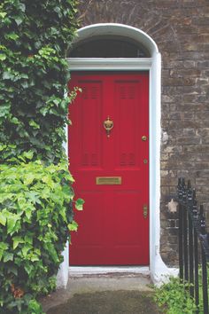 a red door is surrounded by greenery