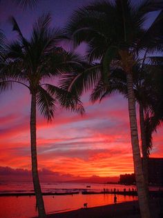 two palm trees are silhouetted against an orange and pink sunset on the beach with boats in the water