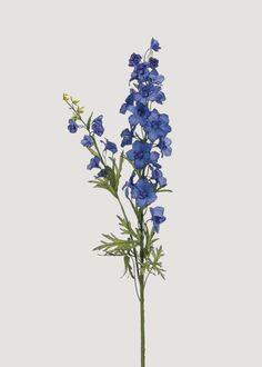 blue flowers with green stems on a white background