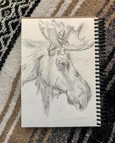 a pencil drawing of a moose's head