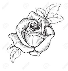 Rose Flower Illustration, Rose Flower Sketch, Flower Drawing Tutorials, Muster Tattoos, Rose Illustration, Dragonfly Tattoo, Rose Drawing, Flower Sketches, Roses Drawing