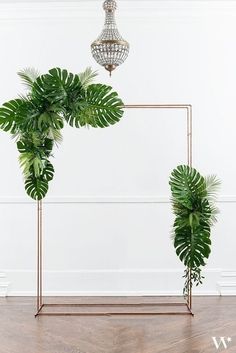 there are two green plants on the floor in front of a white wall with a gold frame