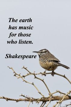 a bird sitting on top of a tree branch with a quote above it that says, the earth has music for those who listen shakespeare