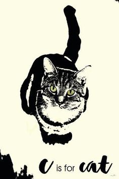 a black and white drawing of a cat with the words c is for cat on it