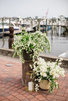 white flowers and greenery are on display near the water