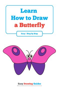 the book learn how to draw a butterfly