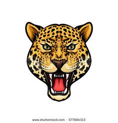 the head of a leopard with open mouth and bared teeth on a white background illustration