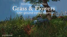 an image of grass and flowers in the background with text that reads, grasses & flowers 120 - ground covers plants