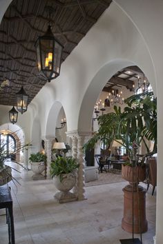 an indoor area with potted plants and lamps