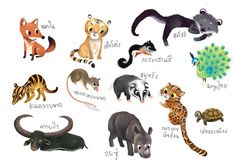 an animal chart with different types of animals