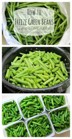 how to freeze green beans in a pan and then put them in ice cubes