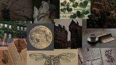 a collage of images with various things in them including books, pictures and drawings