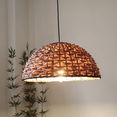 a wooden light hanging from a ceiling next to a potted plant with green leaves