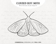 a black and white drawing of a moth with the words clouded buff moth on it