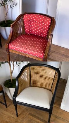 two chairs sitting next to each other in front of a potted plant on top of a hard wood floor