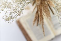 dried flowers are in front of an open book