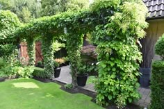 an outdoor garden with green plants and potted plants on the side of the house