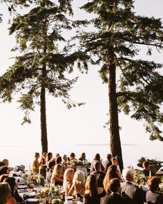 a group of people sitting at tables in front of some tall pine trees with the ocean in the background